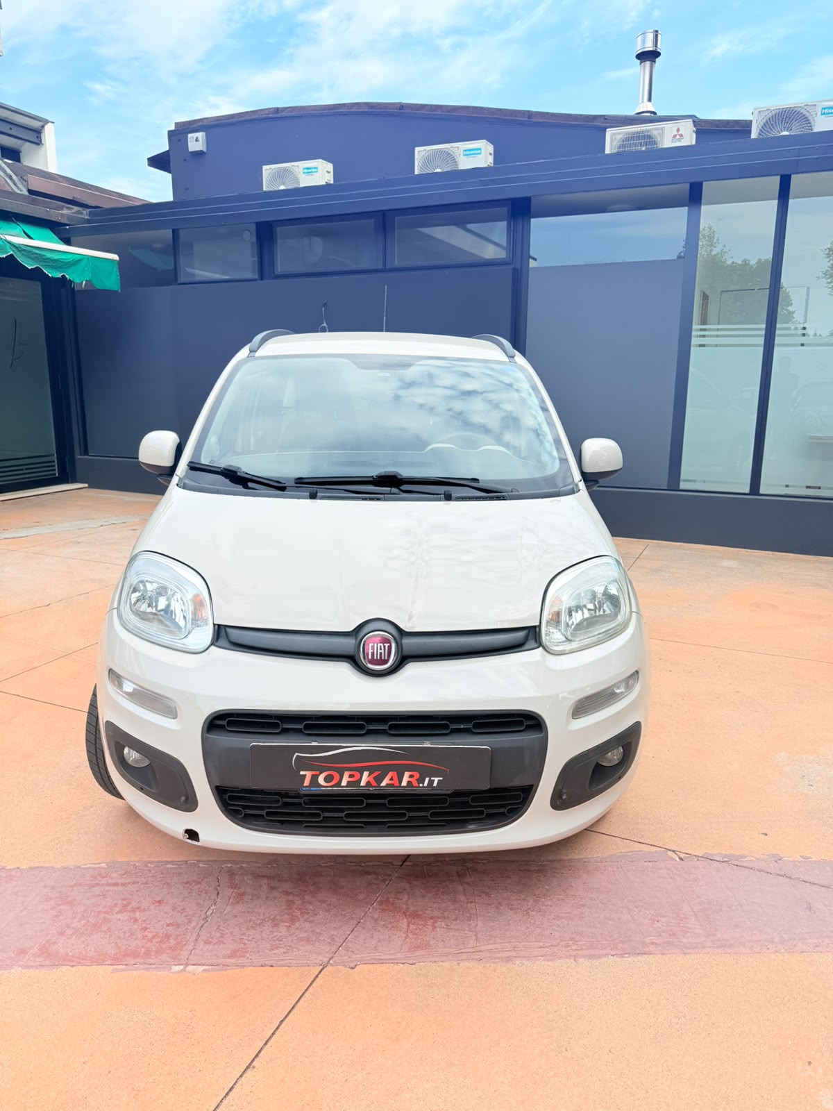 Panda - immagine 2